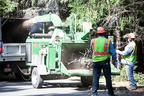 Mulching Services in Manchaca, TX